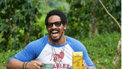 Rohan Marley Net Worth