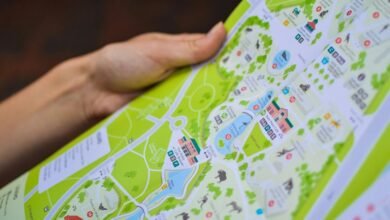 cape may zoo information guide