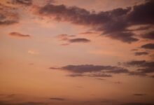 evening draw insights revealed